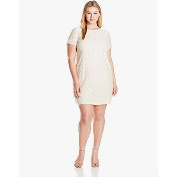 Adrianna Papell Dresses & Skirts - Adrianna Papell Size 16 Short Sleeve Lace Shift